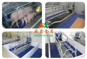 Svineudstyr Svin Farrowing Crate With PVC Fence Livestock Maskiner